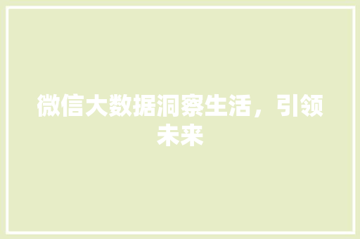 微信大数据洞察生活，引领未来