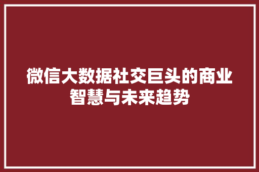 微信大数据社交巨头的商业智慧与未来趋势