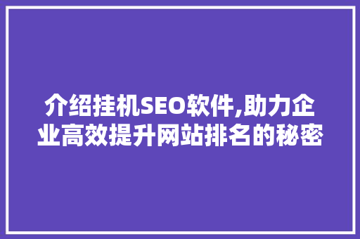 介绍挂机SEO软件,助力企业高效提升网站排名的秘密武器