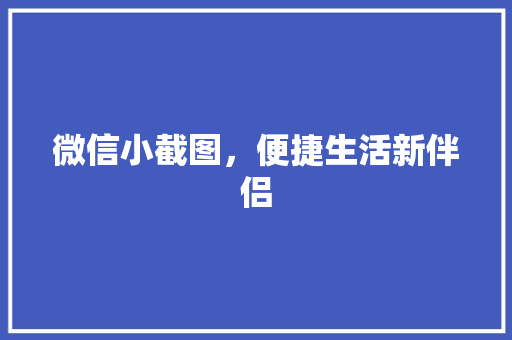 微信小截图，便捷生活新伴侣