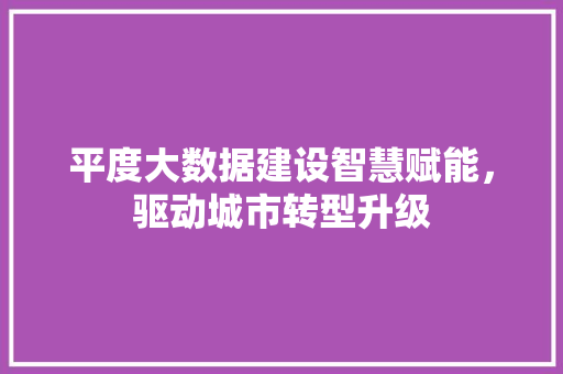 平度大数据建设智慧赋能，驱动城市转型升级