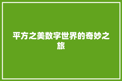 平方之美数字世界的奇妙之旅