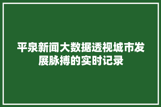 平泉新闻大数据透视城市发展脉搏的实时记录