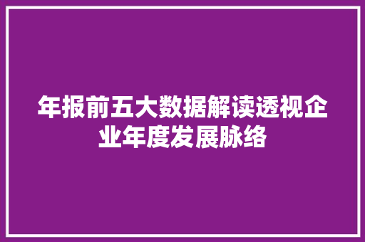 年报前五大数据解读透视企业年度发展脉络