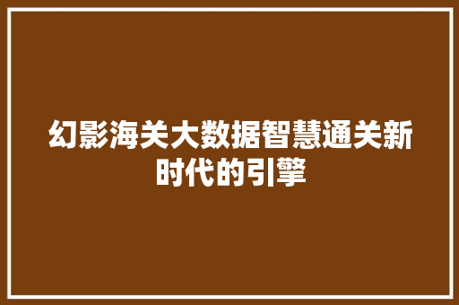 幻影海关大数据智慧通关新时代的引擎