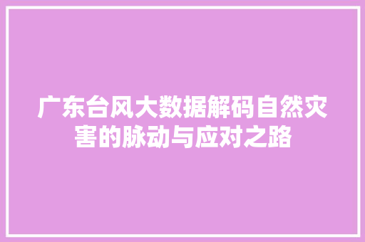 广东台风大数据解码自然灾害的脉动与应对之路
