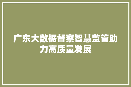 广东大数据督察智慧监管助力高质量发展