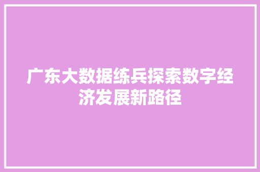广东大数据练兵探索数字经济发展新路径