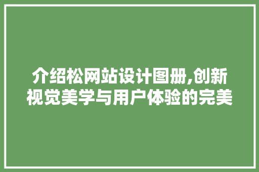 介绍松网站设计图册,创新视觉美学与用户体验的完美融合