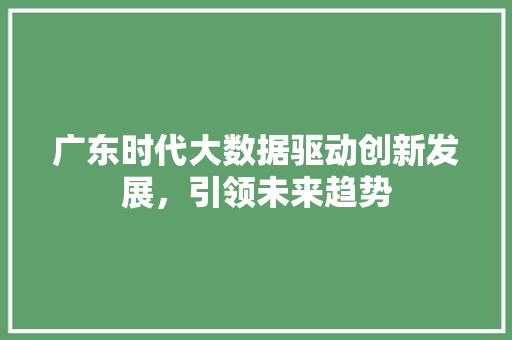 广东时代大数据驱动创新发展，引领未来趋势