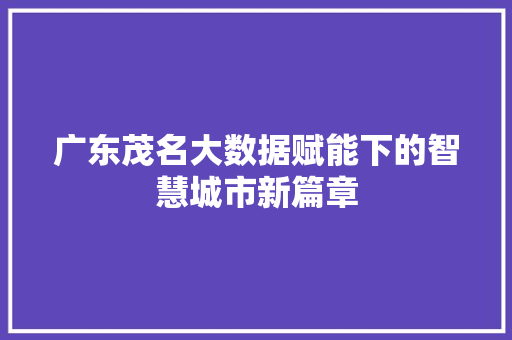 广东茂名大数据赋能下的智慧城市新篇章