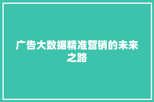 广告大数据精准营销的未来之路
