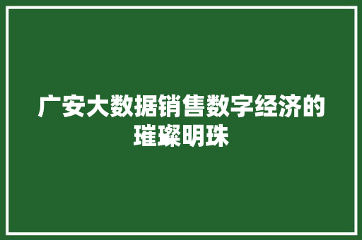 广安大数据销售数字经济的璀璨明珠