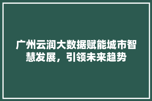 广州云润大数据赋能城市智慧发展，引领未来趋势