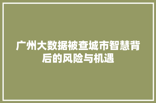广州大数据被查城市智慧背后的风险与机遇
