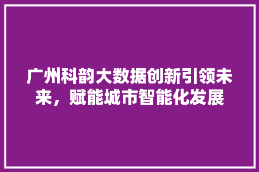 广州科韵大数据创新引领未来，赋能城市智能化发展