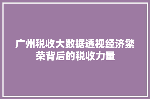 广州税收大数据透视经济繁荣背后的税收力量