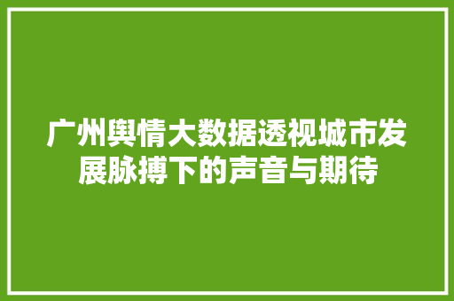 广州舆情大数据透视城市发展脉搏下的声音与期待