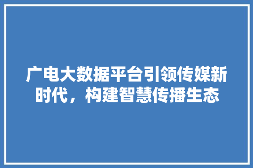 广电大数据平台引领传媒新时代，构建智慧传播生态