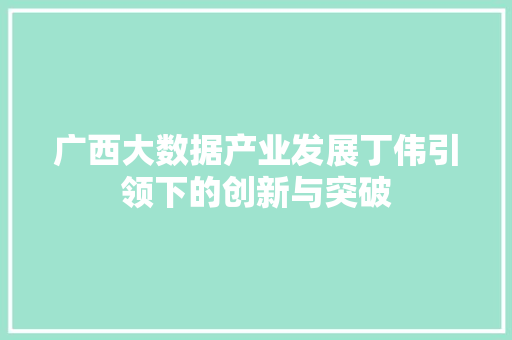 广西大数据产业发展丁伟引领下的创新与突破