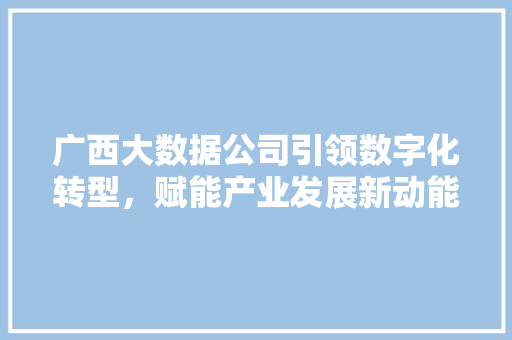 广西大数据公司引领数字化转型，赋能产业发展新动能