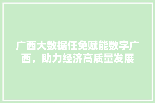 广西大数据任免赋能数字广西，助力经济高质量发展