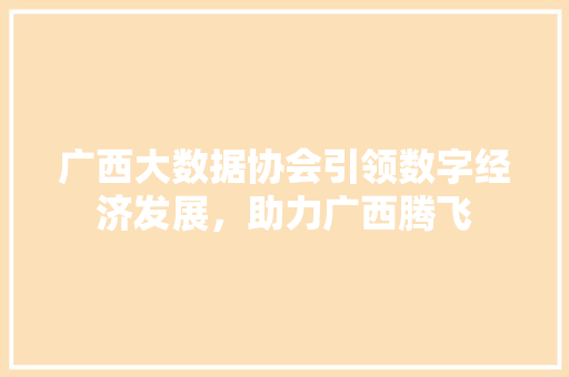 广西大数据协会引领数字经济发展，助力广西腾飞