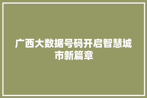 广西大数据号码开启智慧城市新篇章