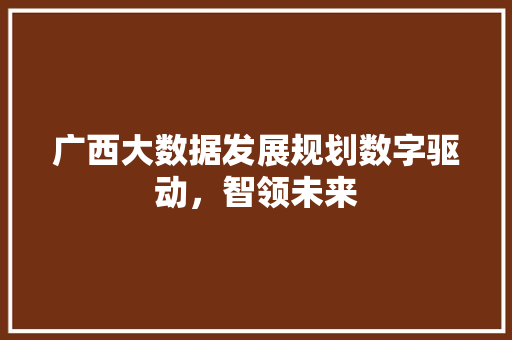 广西大数据发展规划数字驱动，智领未来