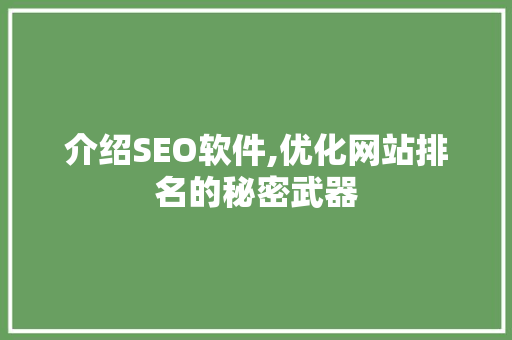 介绍SEO软件,优化网站排名的秘密武器 网站建设