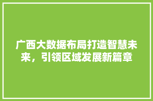 广西大数据布局打造智慧未来，引领区域发展新篇章