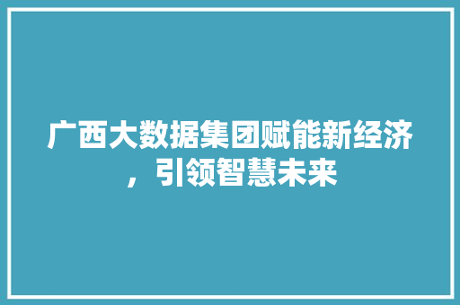 广西大数据集团赋能新经济，引领智慧未来