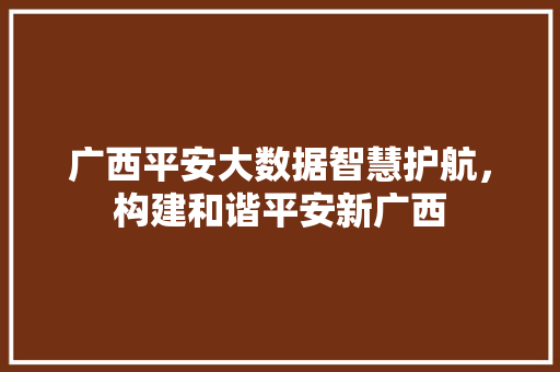 广西平安大数据智慧护航，构建和谐平安新广西