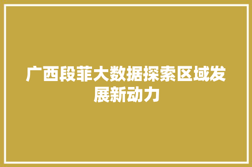广西段菲大数据探索区域发展新动力