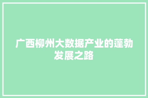 广西柳州大数据产业的蓬勃发展之路