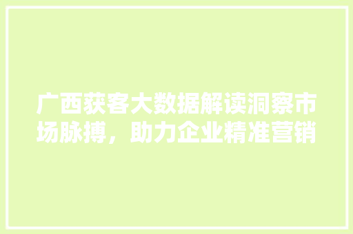 广西获客大数据解读洞察市场脉搏，助力企业精准营销