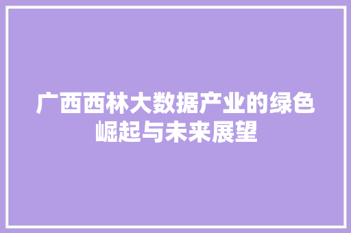 广西西林大数据产业的绿色崛起与未来展望