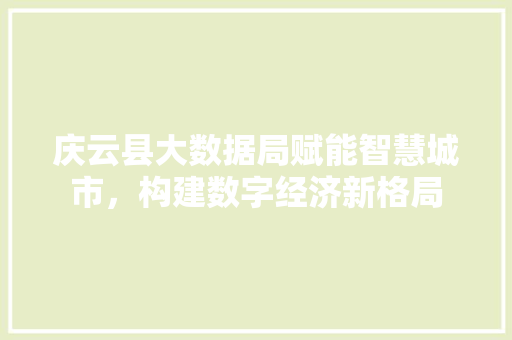 庆云县大数据局赋能智慧城市，构建数字经济新格局