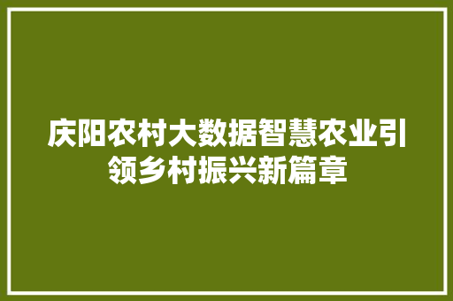 庆阳农村大数据智慧农业引领乡村振兴新篇章