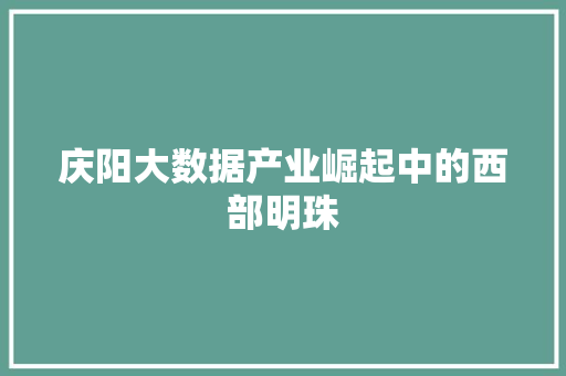 庆阳大数据产业崛起中的西部明珠
