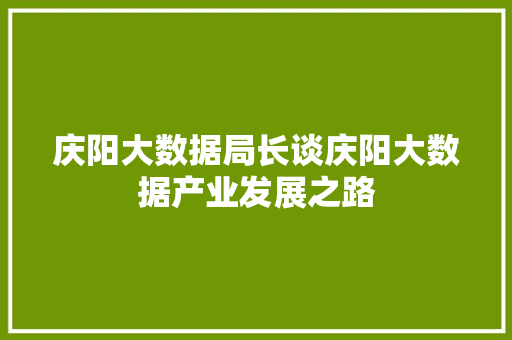 庆阳大数据局长谈庆阳大数据产业发展之路