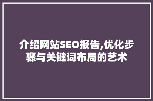 介绍网站SEO报告,优化步骤与关键词布局的艺术
