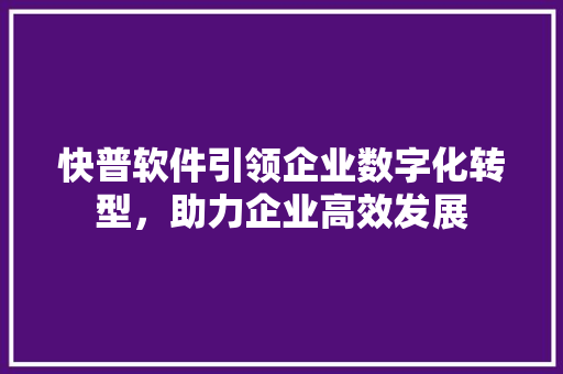 快普软件引领企业数字化转型，助力企业高效发展