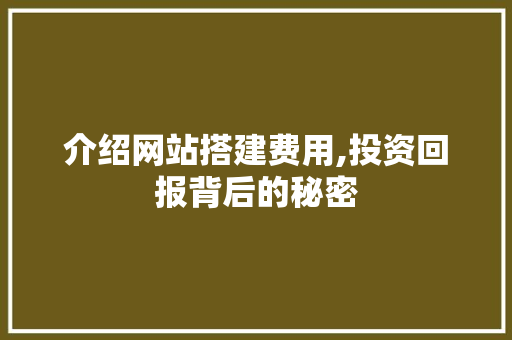 介绍网站搭建费用,投资回报背后的秘密