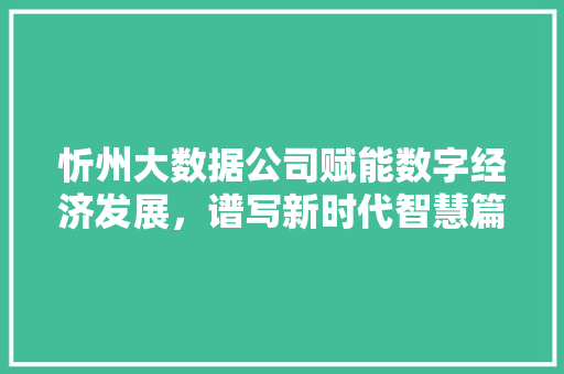 忻州大数据公司赋能数字经济发展，谱写新时代智慧篇章