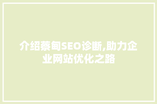 介绍蔡甸SEO诊断,助力企业网站优化之路