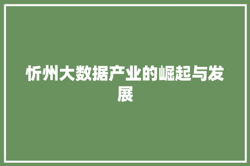忻州大数据产业的崛起与发展