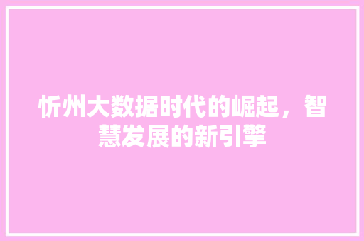 忻州大数据时代的崛起，智慧发展的新引擎