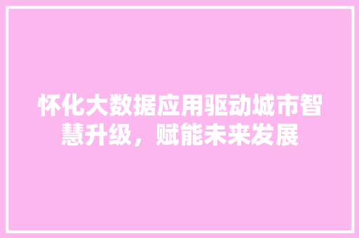 怀化大数据应用驱动城市智慧升级，赋能未来发展