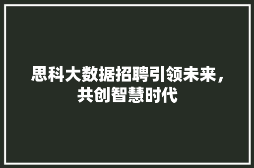 思科大数据招聘引领未来，共创智慧时代
